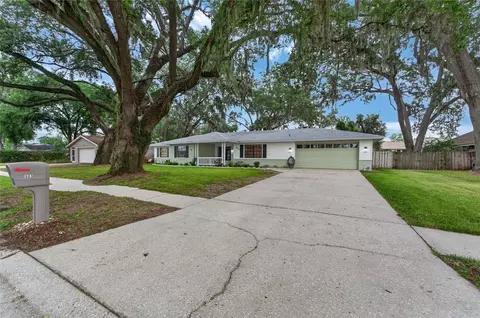 903 Old Darby St, Seffner, FL 33584 photo 3