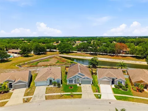 View/Area - 10446 Hallmark Blvd, Riverview, FL 33578 photo 3 of 13
