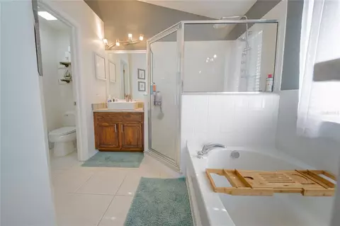 Bath - 13425 Fladgate Mark Dr, Riverview, FL 33579 photo 4 of 8
