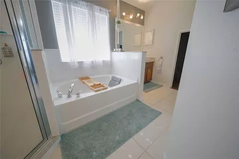 Bath - 13425 Fladgate Mark Dr, Riverview, FL 33579 photo 5 of 8
