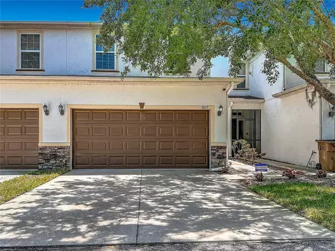 8615 Andalucia Field Dr, Tampa, FL 33637