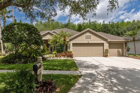 19204 Pristine Pl, Lutz, FL 33558