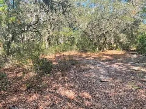 9345 SE 195th Ave, Ocklawaha, FL 32179