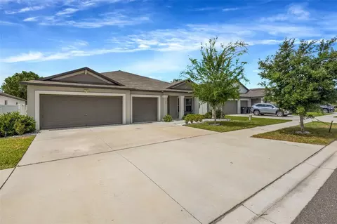 138 Rain Berry Ave, Ruskin, FL 33570
