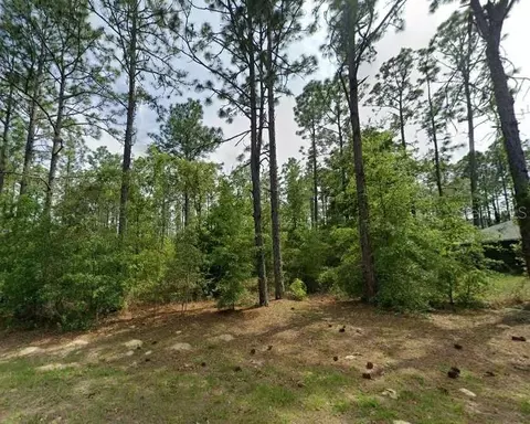 1204 W Fan Dr, Citrus Springs, FL 34434