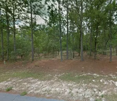 1204 W Fan Dr, Citrus Springs, FL 34434