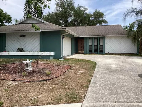 15803 Ironware Pl, Tampa, FL 33624