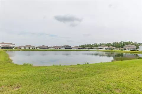 View/Area - 13608 Willow Bluestar Loop, Riverview, FL 33579 photo 1 of 1