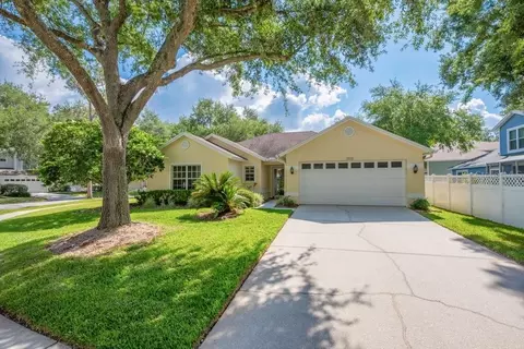17610 Esprit Dr, Tampa, FL 33647