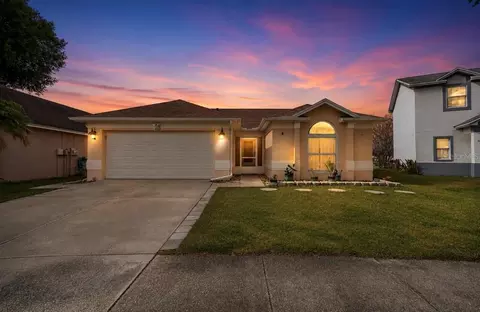 11223 Bramblebrush St, Tampa, FL 33624