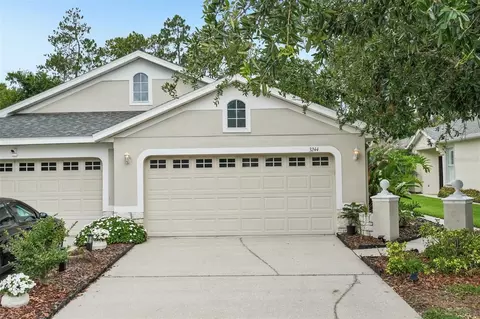 3244 Chapel Creek Cir, Wesley Chapel, FL 33544