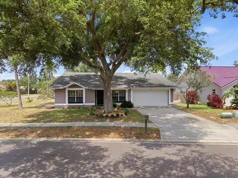 798 Countryshire Ln, Palm Harbor, FL 34683