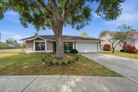 798 Countryshire Ln, Palm Harbor, FL 34683