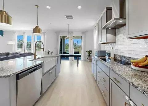 Kitchen - 12048 Orchid Ash St, Riverview, FL 33579 photo 3 of 10