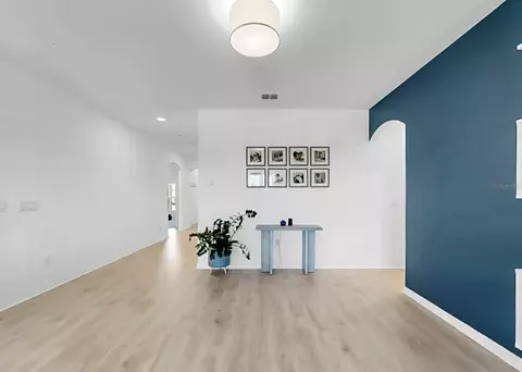 Entry Way - 12048 Orchid Ash St, Riverview, FL 33579 photo 4 of 4
