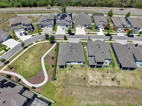 View/Area - 12048 Orchid Ash St, Riverview, FL 33579 photo 6 of 9