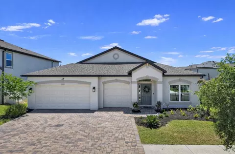 12048 Orchid Ash St, Riverview, FL 33579
