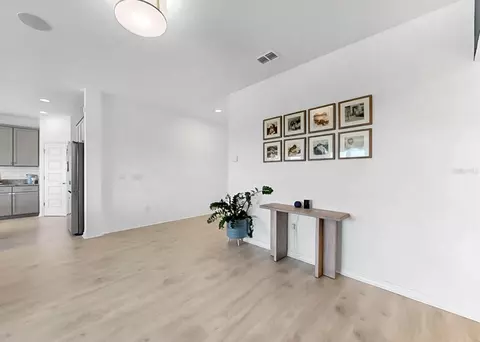 Entry Way - 12048 Orchid Ash St, Riverview, FL 33579 photo 3 of 4