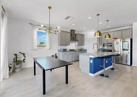 Kitchen - 12048 Orchid Ash St, Riverview, FL 33579 photo 9 of 10