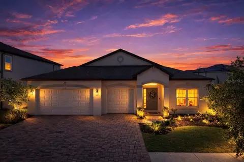 Exterior - 12048 Orchid Ash St, Riverview, FL 33579 photo 2 of 9