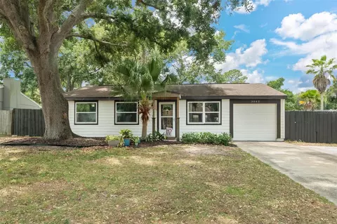 3042 Hanna Ct, Palm Harbor, FL 34684