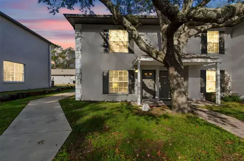 5182 Sunridge Palms Dr #5182, Tampa, FL 33617