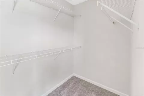 Other - 10135 Post Harvest Dr, Riverview, FL 33578 photo 6 of 7