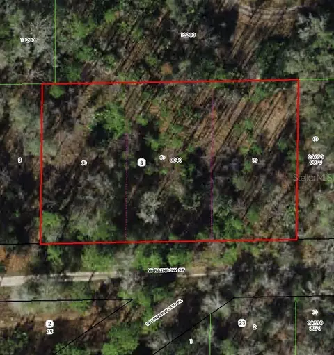 7265 W Rainbow St, Dunnellon, FL 34433