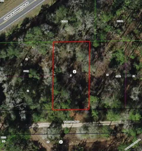 7277 W Rainbow St, Dunnellon, FL 34433