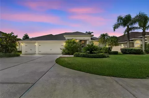 2006 Meadow Rue Ct, Trinity, FL 34655