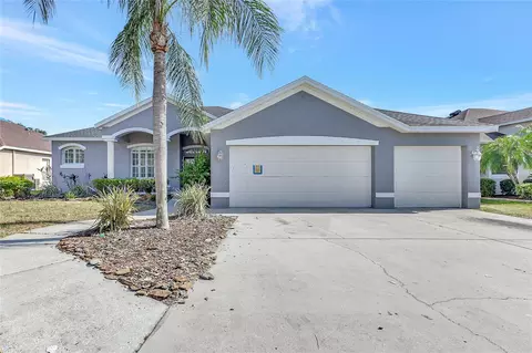 2863 Duncan Tree Cir, Valrico, FL 33594