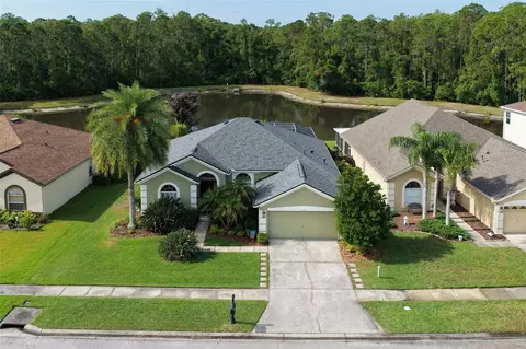 12730 Tar Flower Dr, Tampa, FL 33626