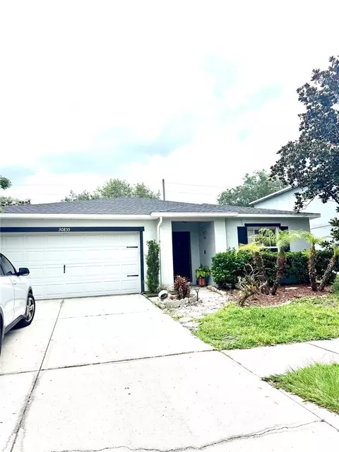 30855 Temple Stand Ave, Wesley Chapel, FL 33543
