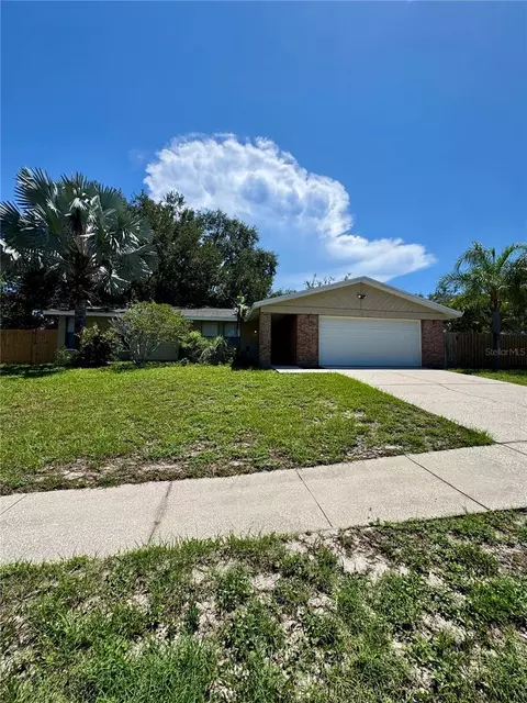 2836 Cinnamon Bear Trl, Palm Harbor, FL 34684