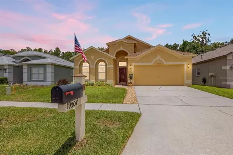 19507 Ardwick Way, Land O Lakes, FL 34638