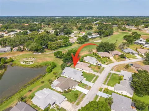 1478 Wicklow Dr, Palm Harbor, FL 34684
