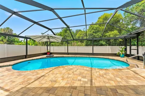 1138 Pelican Pl, Safety Harbor, FL 34695