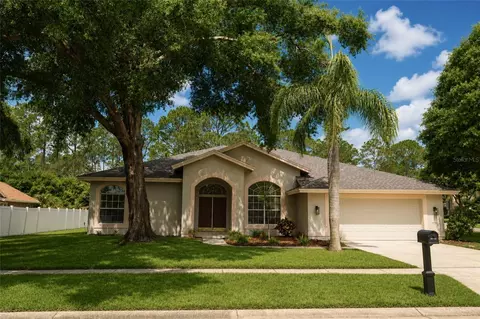 17316 Hialeah Dr, Odessa, FL 33556