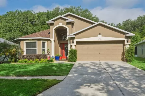 10446 Lucaya Dr, Tampa, FL 33647