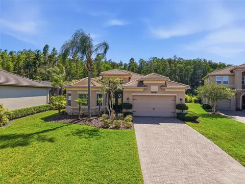 30852 Spruceberry Ct, Wesley Chapel, FL 33543
