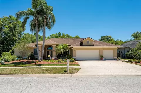 22754 Magnolia Trace Blvd, Lutz, FL 33549