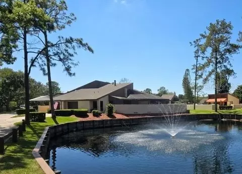 5003 Umber Way S, Tampa, FL 33624
