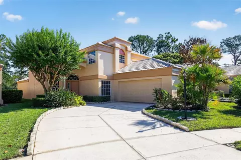 9314 Fairway Lakes Ct, Tampa, FL 33647