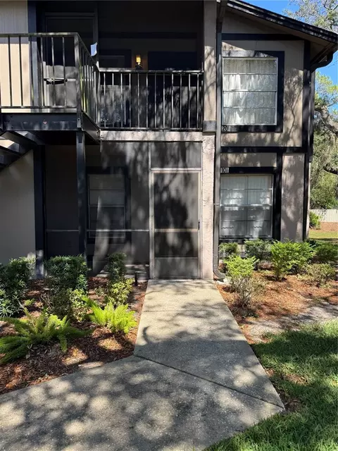 4033 Dream Oak Pl #101, Tampa, FL 33613