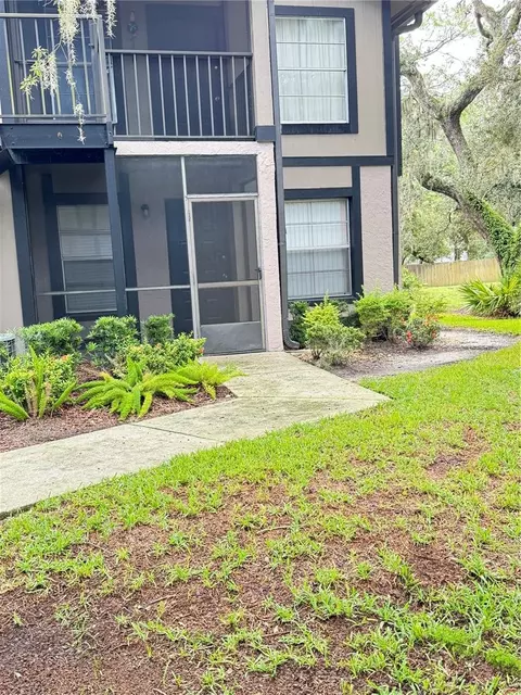 4033 Dream Oak Pl #101, Tampa, FL 33613
