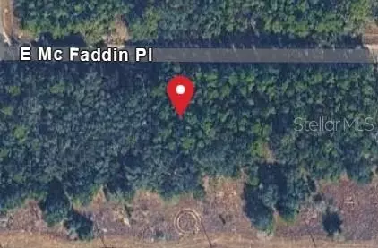 389 E Mc Faddin Pl E, Dunnellon, FL 34434