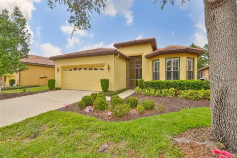 147 Silver Falls Dr, Apollo Beach, FL 33572