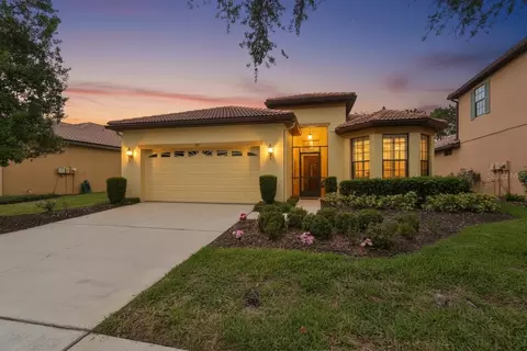 147 Silver Falls Dr, Apollo Beach, FL 33572