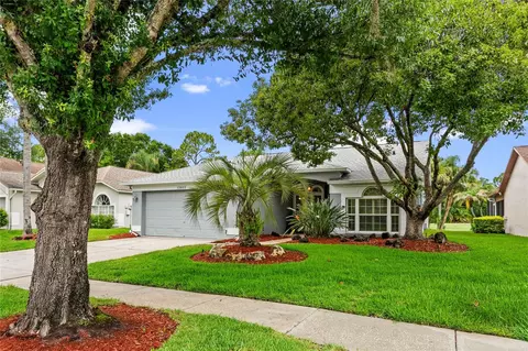 12823 Royal George Ave, Odessa, FL 33556