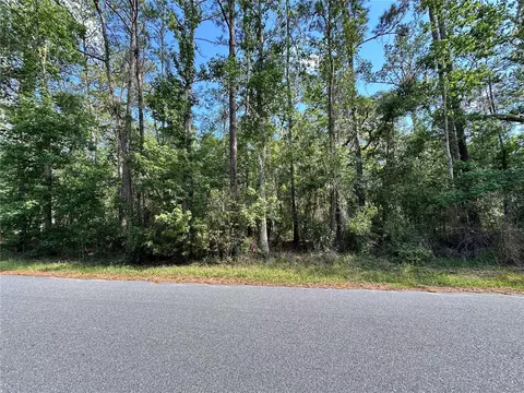 Skyview Circle, Brooksville, FL 34602